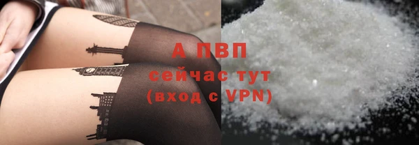 СК Абаза
