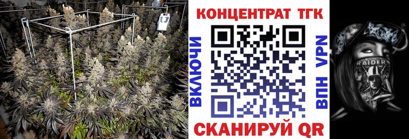 гидра tor  что такое   Аксай  ТГК концентрат 